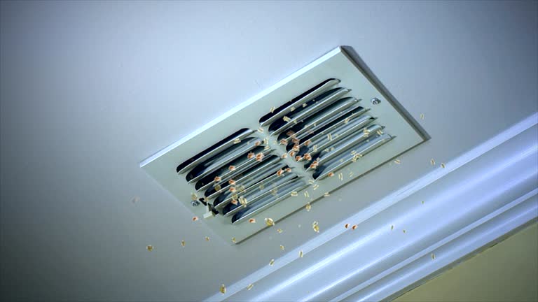 Best HVAC Duct Inspection Services  in Nicholson, MS