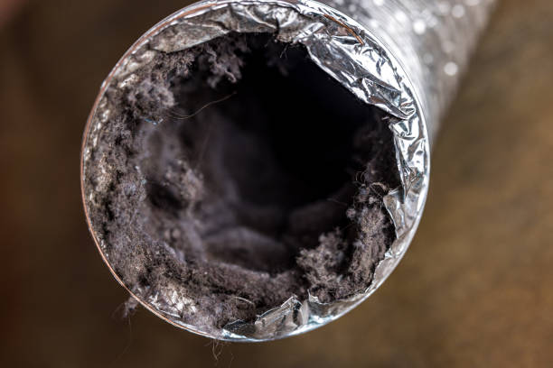 Best Emergency Air Duct Cleaning  in Nicholson, MS