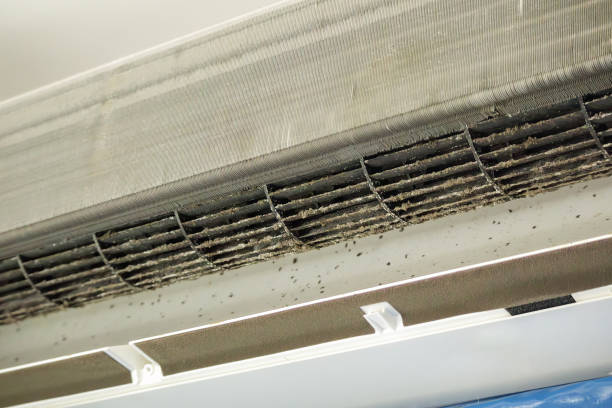 Best Commercial Air Duct Cleaning  in Nicholson, MS